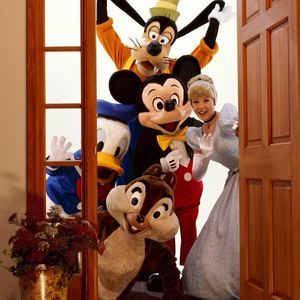 Meet your Posher, Joy